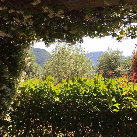 Agriturismo Tenuta La Fratta Баньи-ди-Лукка Экстерьер фото