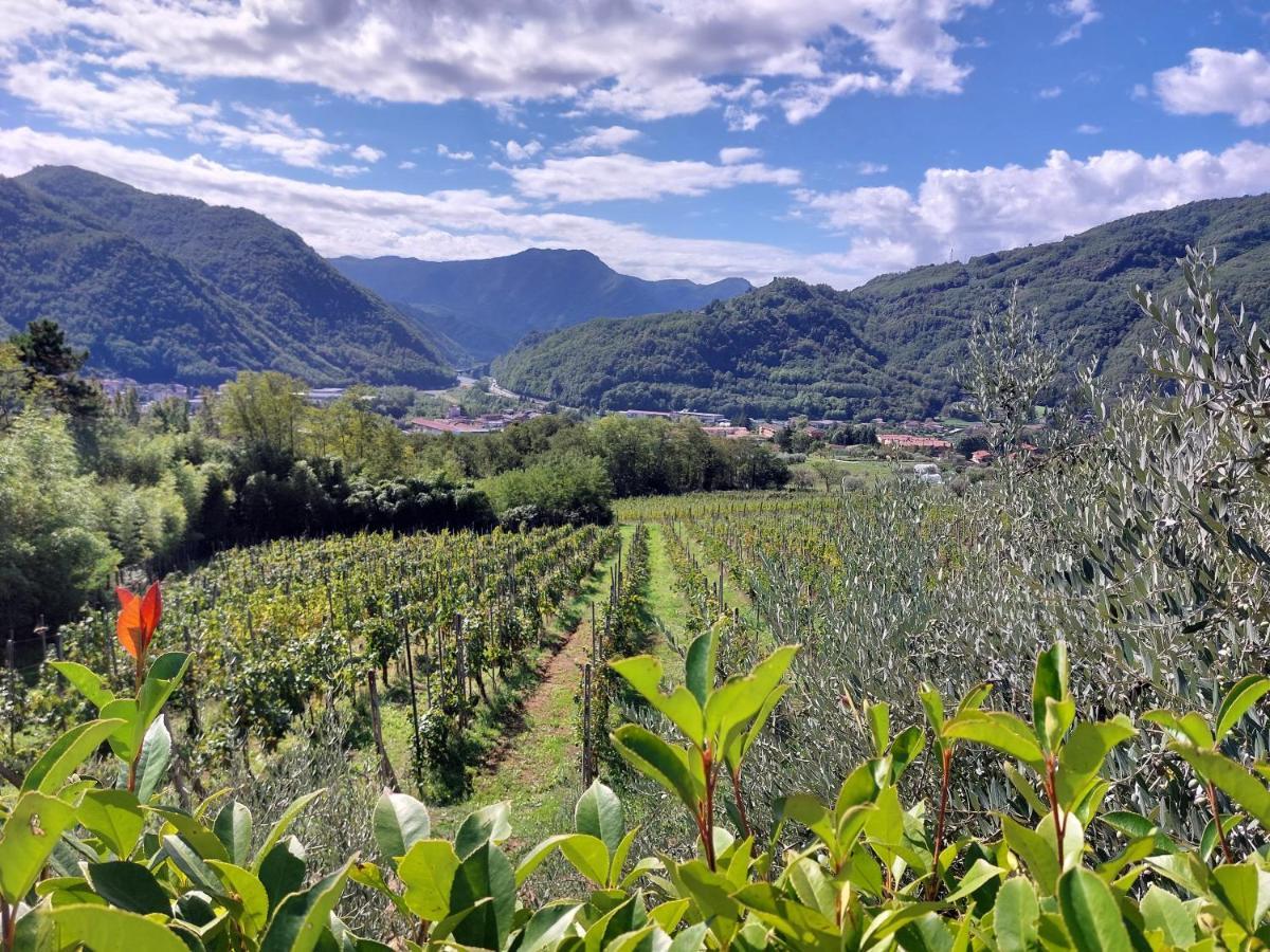 Agriturismo Tenuta La Fratta Баньи-ди-Лукка Экстерьер фото