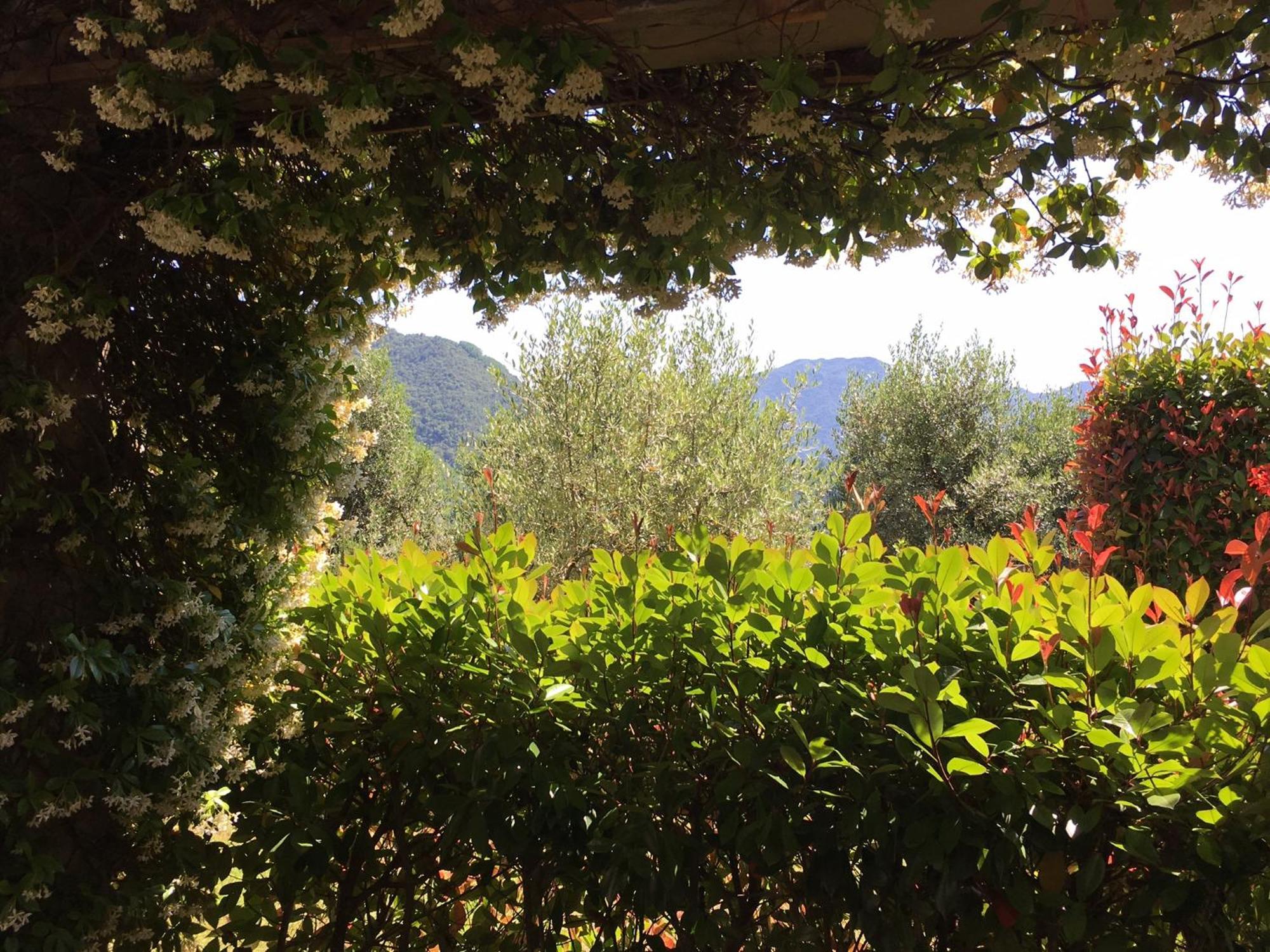 Agriturismo Tenuta La Fratta Баньи-ди-Лукка Экстерьер фото