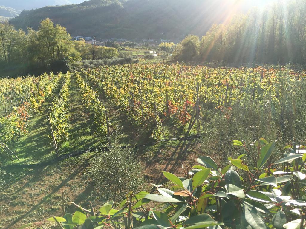 Agriturismo Tenuta La Fratta Баньи-ди-Лукка Экстерьер фото