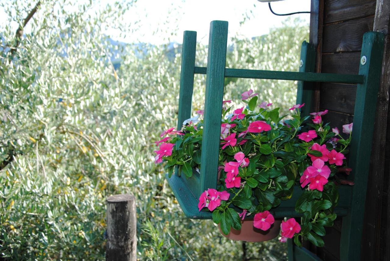 Agriturismo Tenuta La Fratta Баньи-ди-Лукка Экстерьер фото